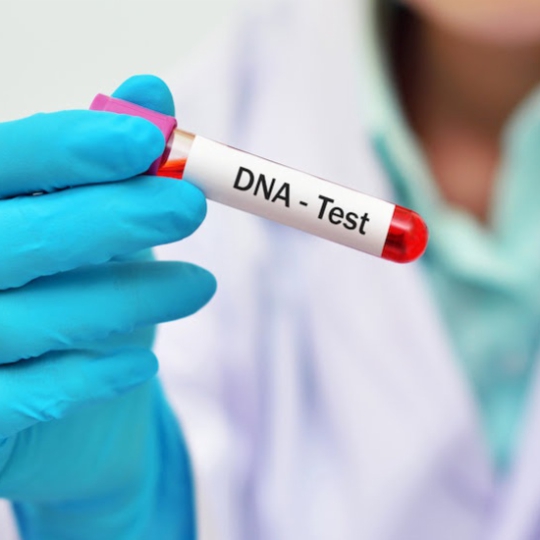Dịch vụ Xét nghiệm ADN hành chính